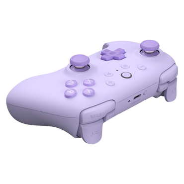 8BitDo 2C Ultimate Kablosuz Oyun Kolu - Mor