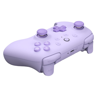 8BitDo 2C Ultimate Kablosuz Oyun Kolu - Mor